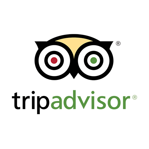trip advisor-colored
